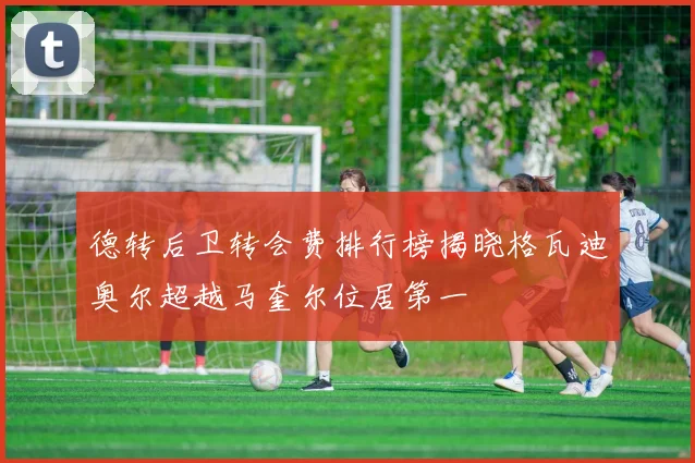 德转后卫转会费排行榜揭晓格瓦迪奥尔超越马奎尔位居第一