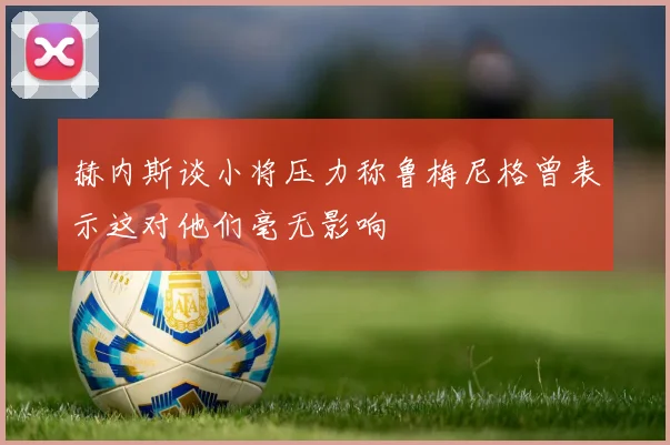 赫内斯谈小将压力称鲁梅尼格曾表示这对他们毫无影响