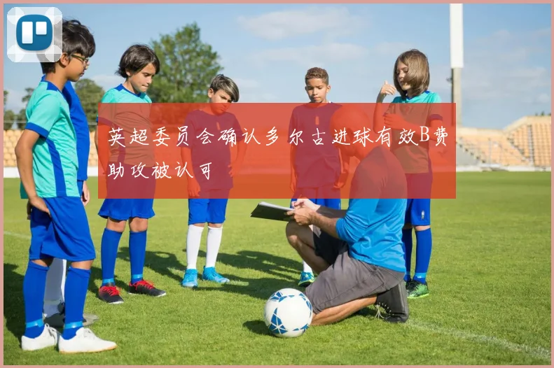 英超委员会确认多尔古进球有效B费助攻被认可