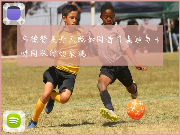 韦德赞麦丹天赋如同昔日麦迪与卡特同队时的表现